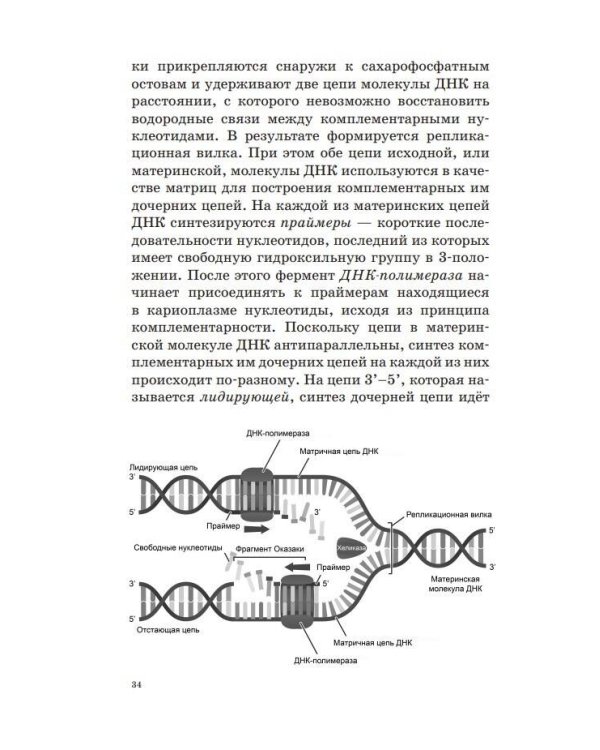 ОГЭ. Биология. Новый полный справочник для подготовки к ОГЭ