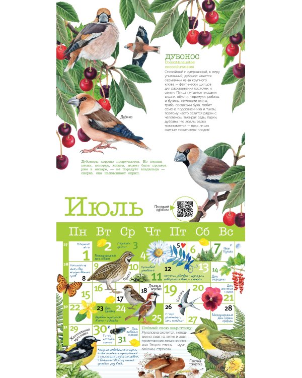 Календарь Певчие птицы с голосами 2024 год