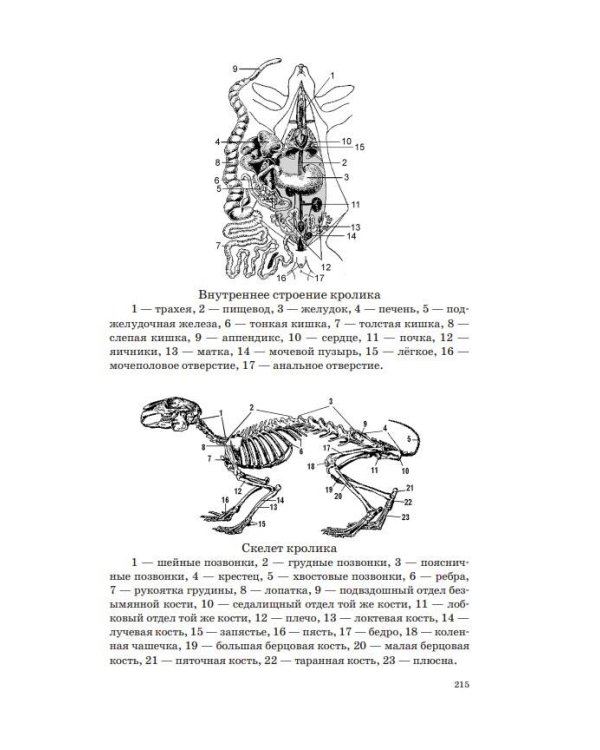 ОГЭ. Биология. Новый полный справочник для подготовки к ОГЭ