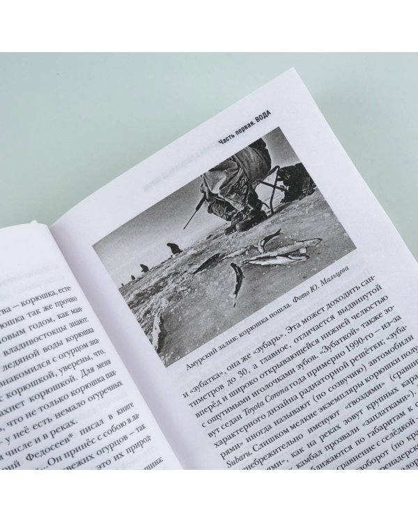 Кристалл в прозрачной оправе