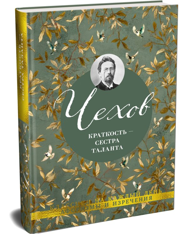Краткость — сестра таланта