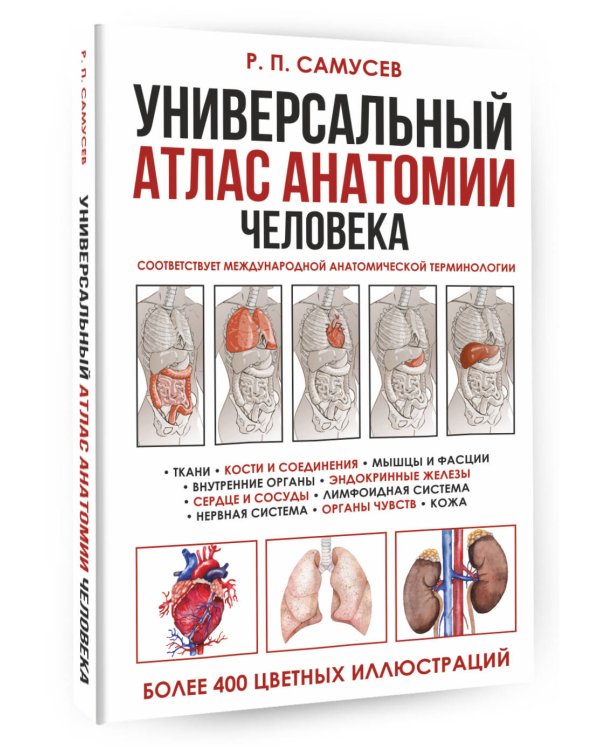 Универсальный атлас анатомии человека с цветными иллюстрациями