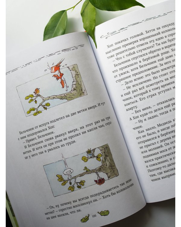 Бельчонок, Медведь и охапка приключений