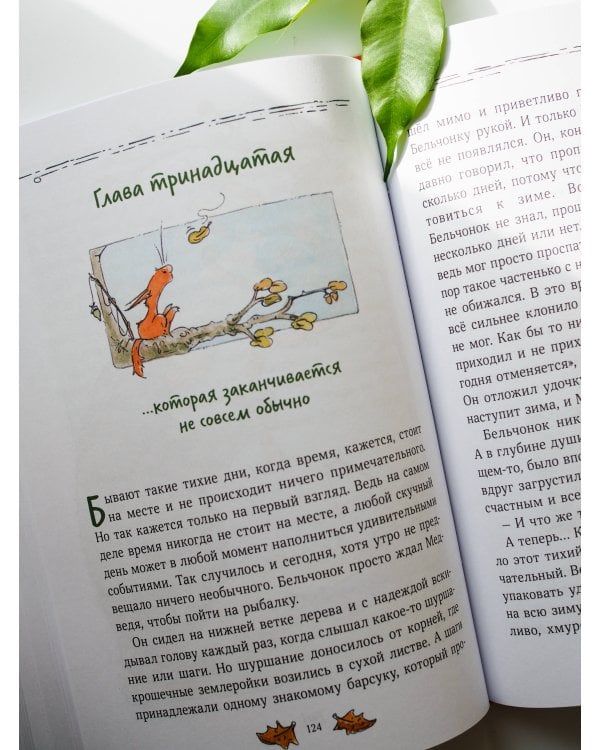 Бельчонок, Медведь и охапка приключений