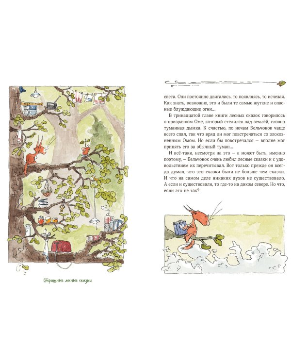 Бельчонок, Медведь и охапка приключений