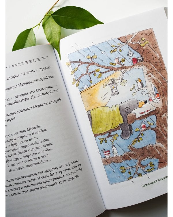 Бельчонок, Медведь и охапка приключений