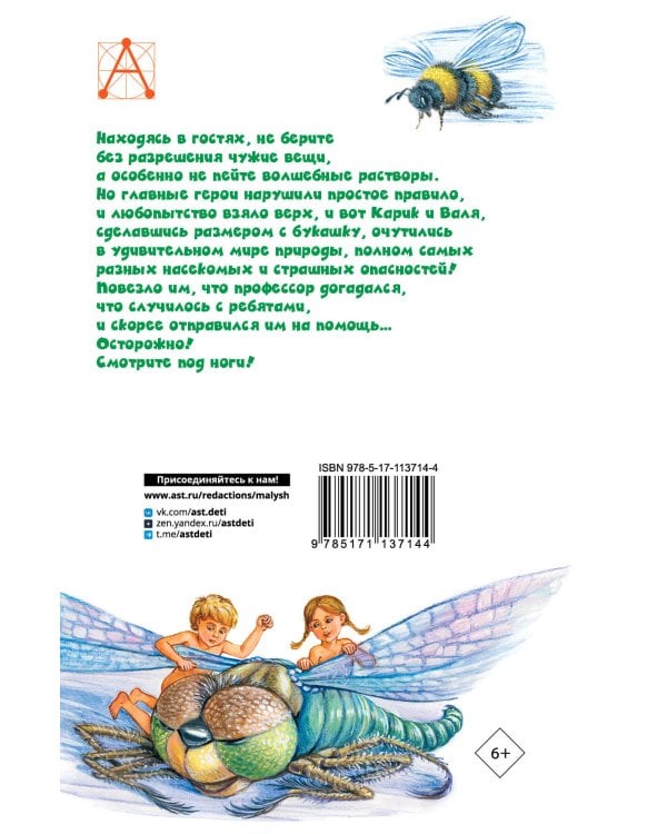 Необыкновенные приключения Карика и Вали