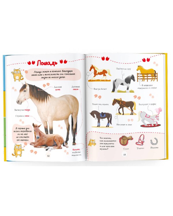 Первая книжка малыша о животных