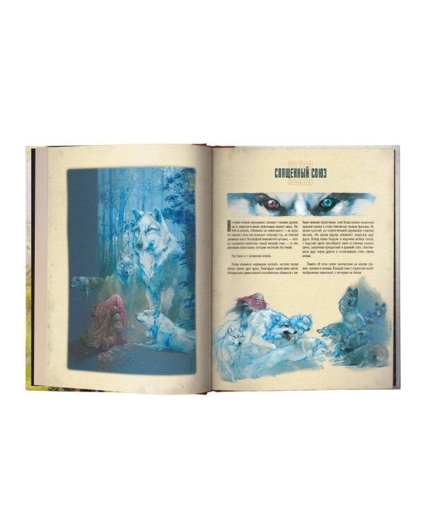 Вселенная гномов с иллюстрациями Гильермо Гонсалеса