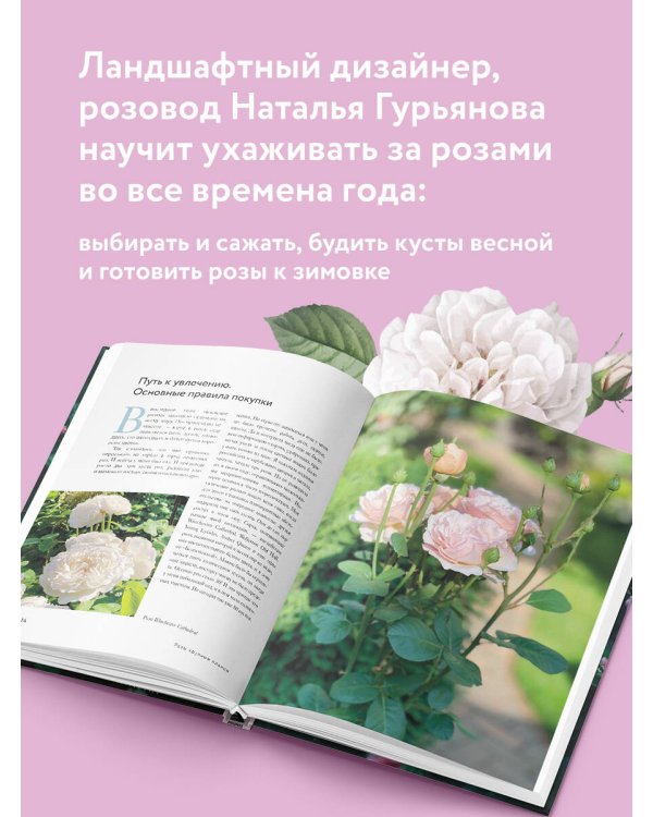 Розы в саду. Практический курс начинающего розовода