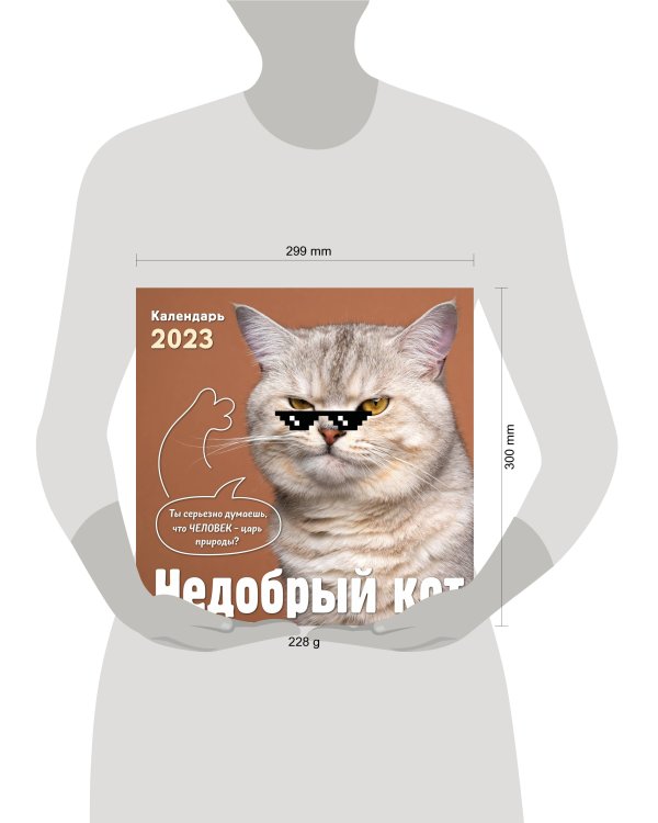 Недобрый кот. Календарь настенный на 2023 год (300х300)