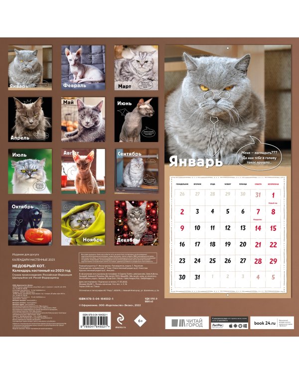 Недобрый кот. Календарь настенный на 2023 год (300х300)