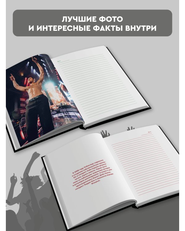 Imagine Dragons. Дневник фаната