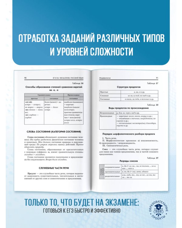 ЕГЭ. Русский язык. ЕГЭ на 100 баллов. Справочник: Теория и практика