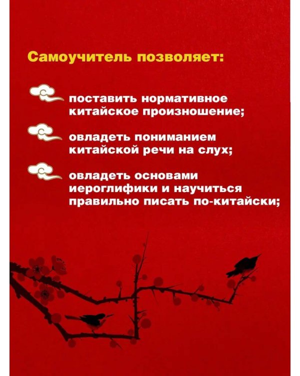Китайский язык: читаем, пишем, говорим + аудиокурс