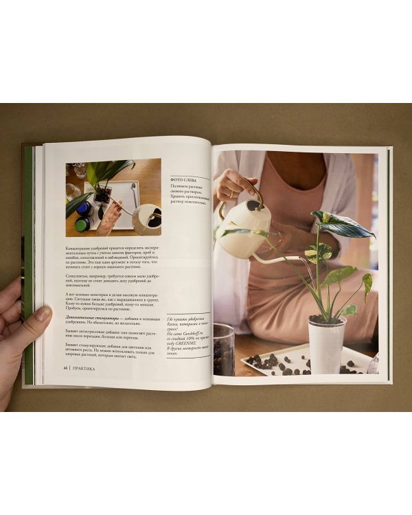 Что должно быть в горшке у комнатных растений. Беспочвенные мифы