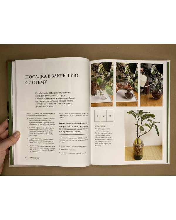 Что должно быть в горшке у комнатных растений. Беспочвенные мифы