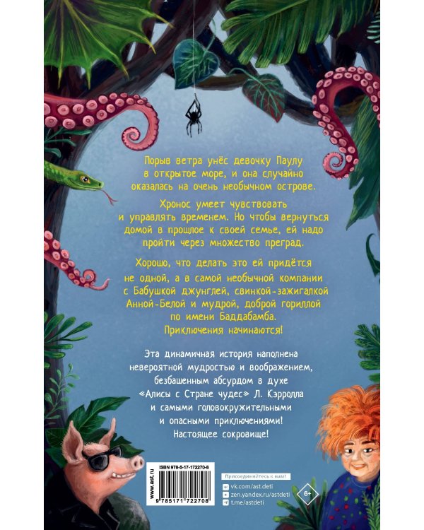 Баддабамба и Остров времени. Книга 1