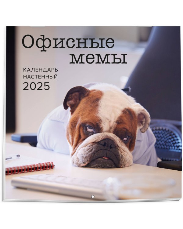 Офисные мемы. Календарь настенный на 2025 год (300х300 мм)
