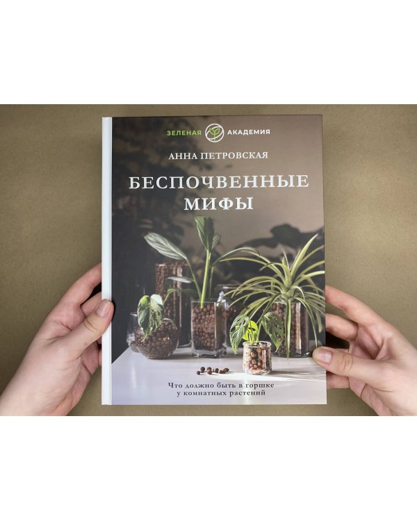 Что должно быть в горшке у комнатных растений. Беспочвенные мифы