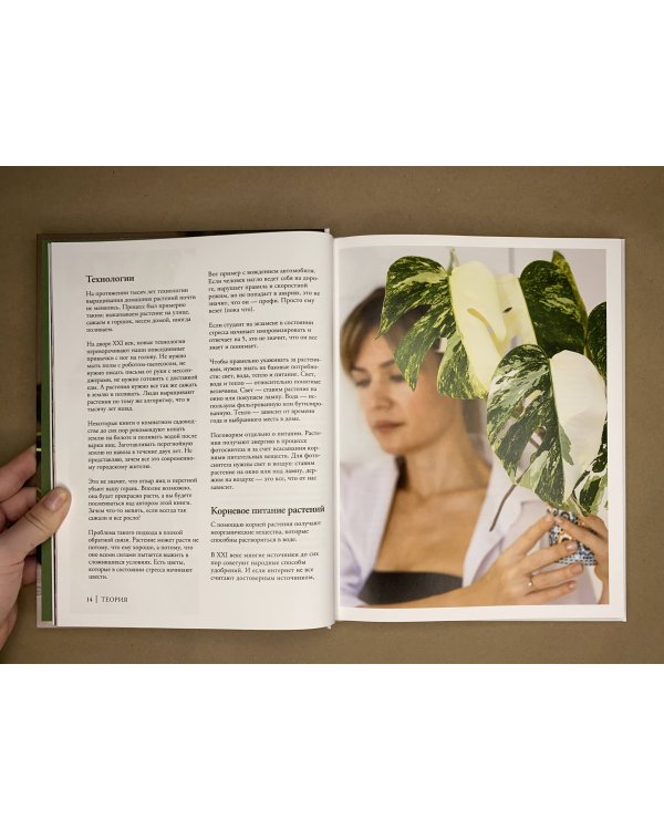 Что должно быть в горшке у комнатных растений. Беспочвенные мифы