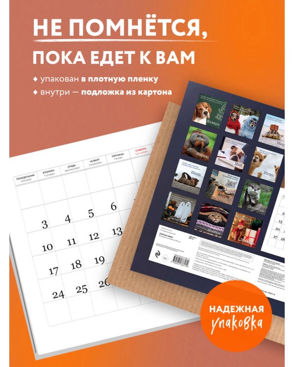 Офисные мемы. Календарь настенный на 2025 год (300х300 мм)