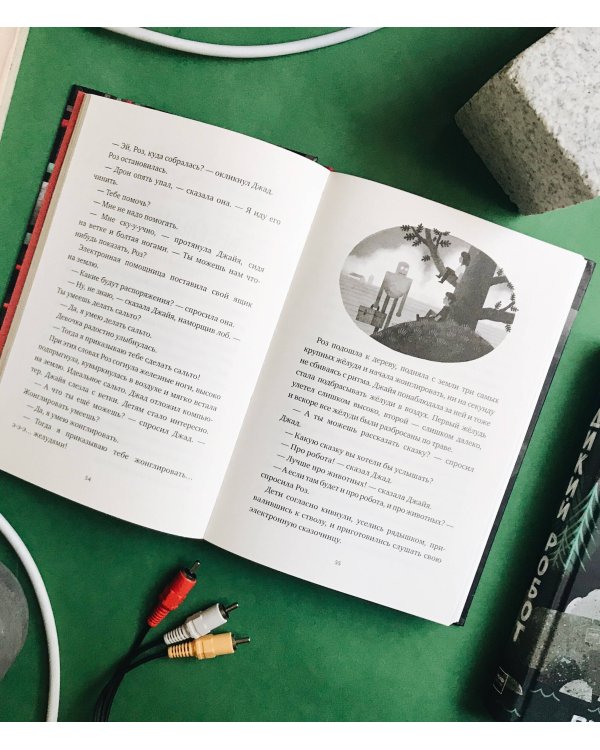 Спасение дикого робота