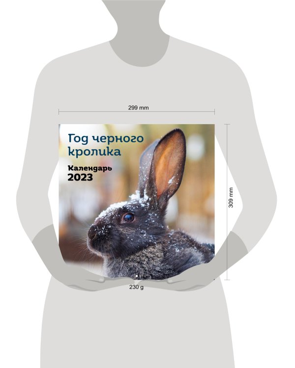 Год черного кролика. Календарь настенный на 2023 год (300х300)