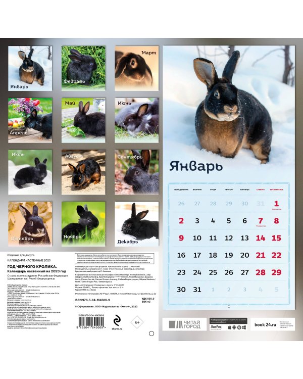 Год черного кролика. Календарь настенный на 2023 год (300х300)