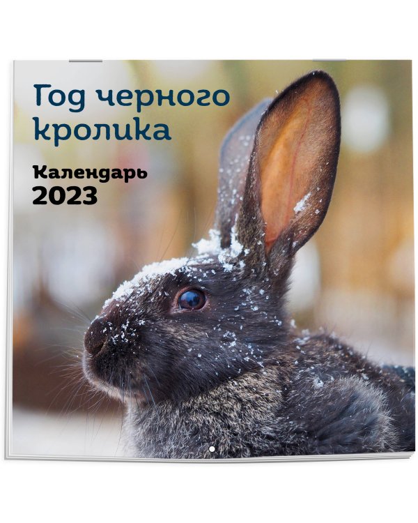 Год черного кролика. Календарь настенный на 2023 год (300х300)