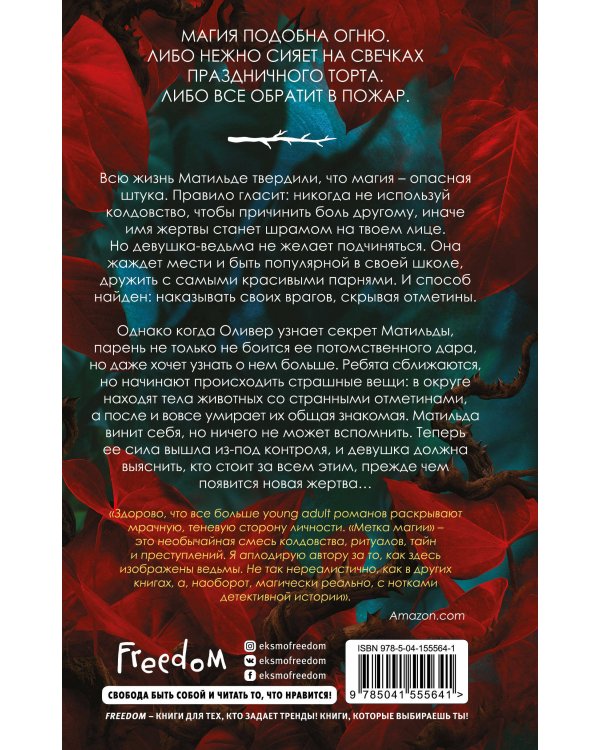 Метка магии