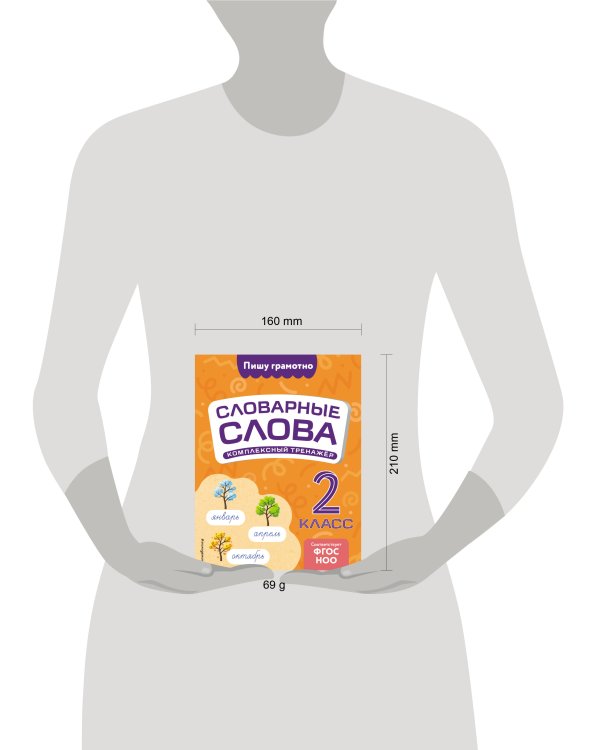 Словарные слова: комплексный тренажёр. 2 класс