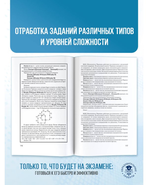 ЕГЭ. Информатика. ЕГЭ на 100 баллов. Справочник: Теория и практика