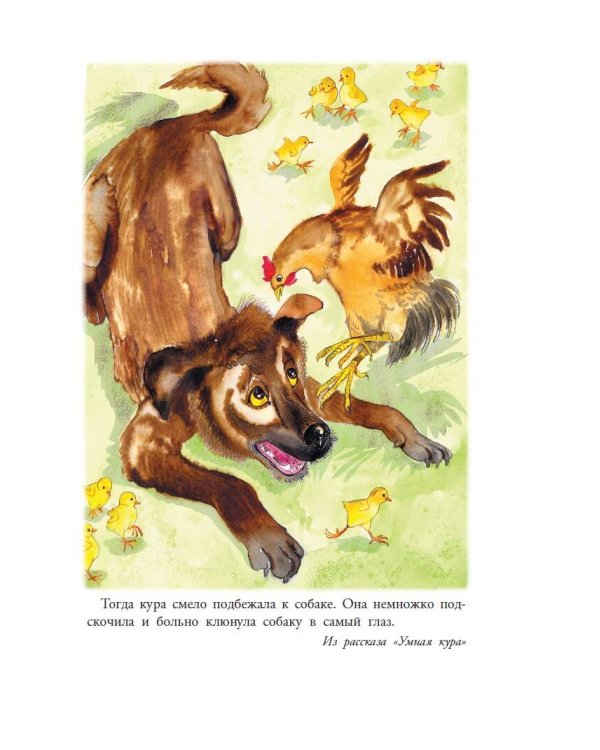 Великие путешественники. Рассказы про детей