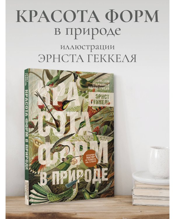 Красота форм в природе. Альбом старинных иллюстраций