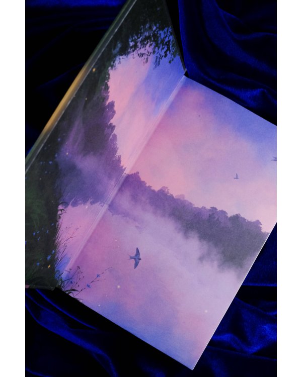 Ведьмин рассвет