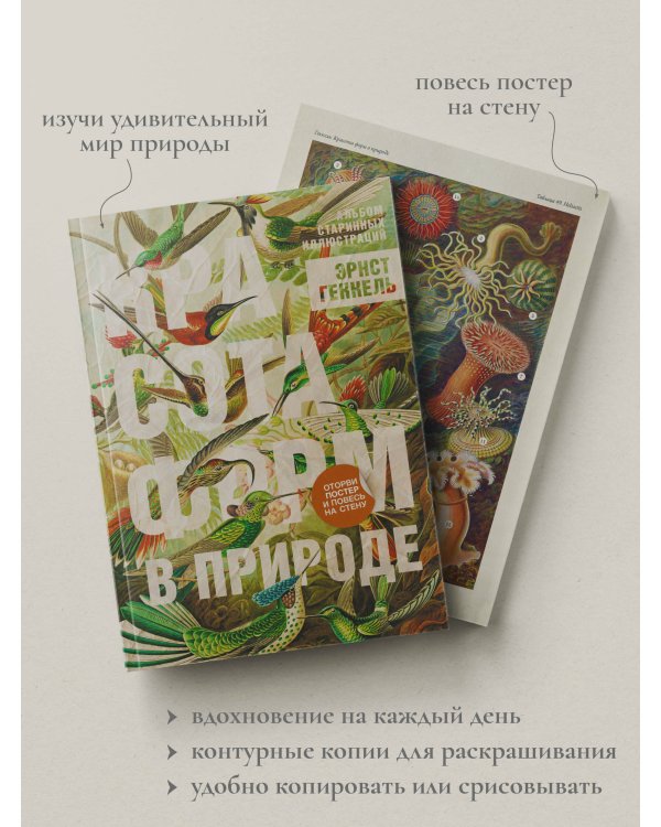 Красота форм в природе. Альбом старинных иллюстраций