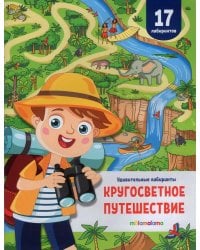 Удивительные лабиринты. Кругосветное путешествие