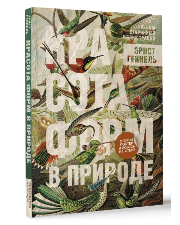 Красота форм в природе. Альбом старинных иллюстраций