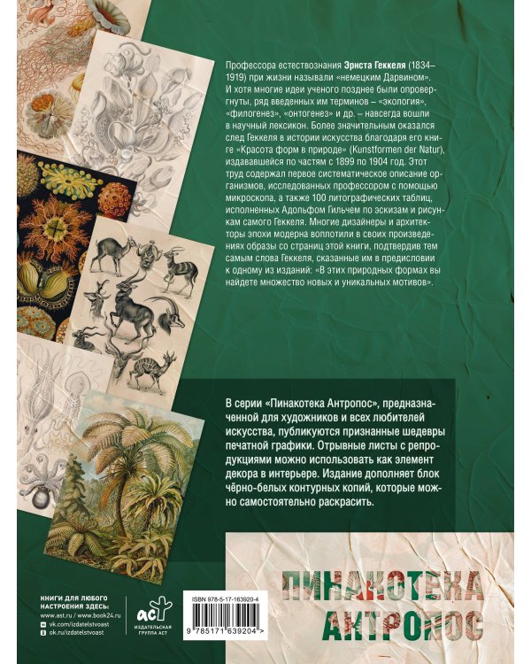 Красота форм в природе. Альбом старинных иллюстраций