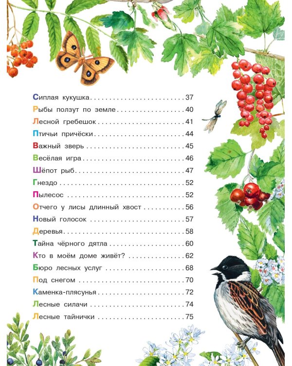 Лесные сказки