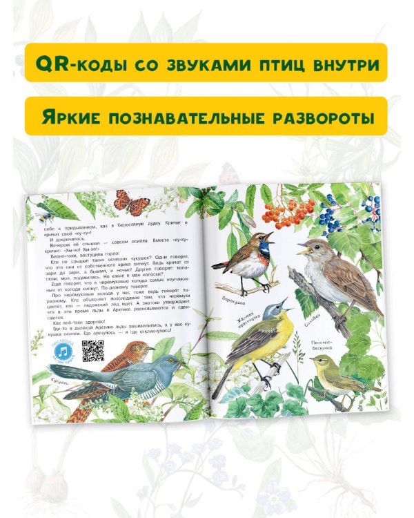 Лесные сказки