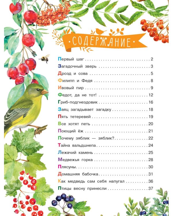 Лесные сказки