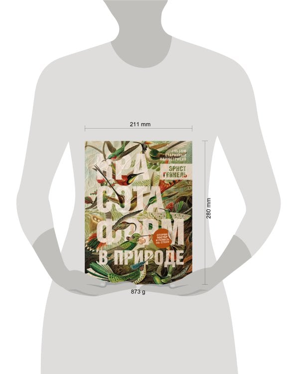 Красота форм в природе. Альбом старинных иллюстраций