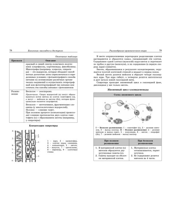 Биология: наглядно и доступно