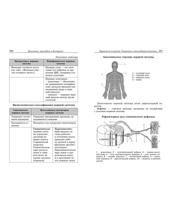 Биология: наглядно и доступно