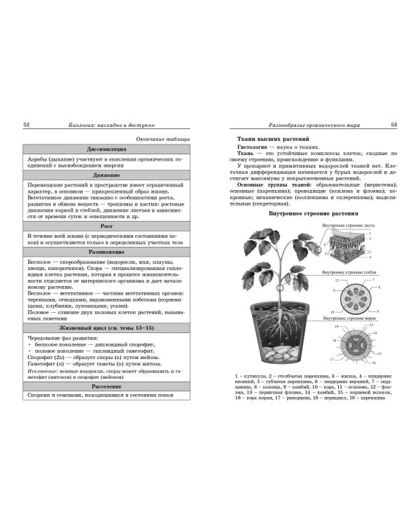 Биология: наглядно и доступно
