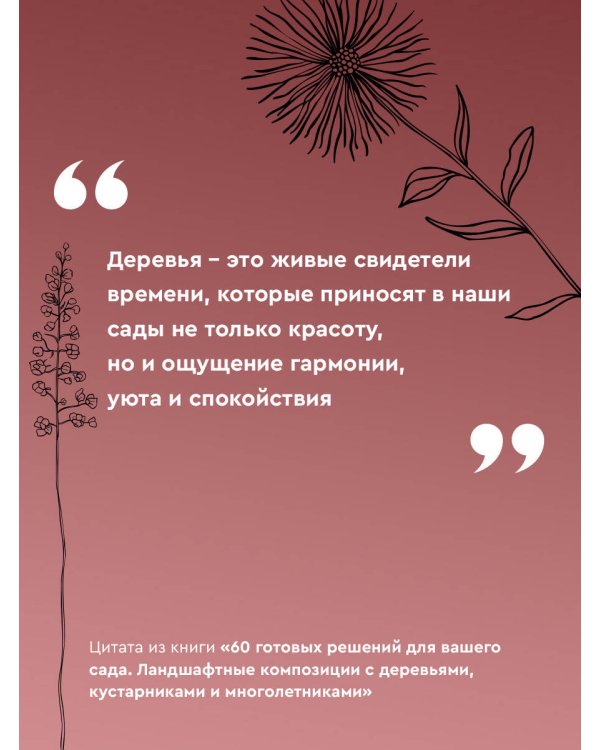 60 готовых решений для вашего сада. Ландшафтные композиции с деревьями, кустарниками и многолетниками