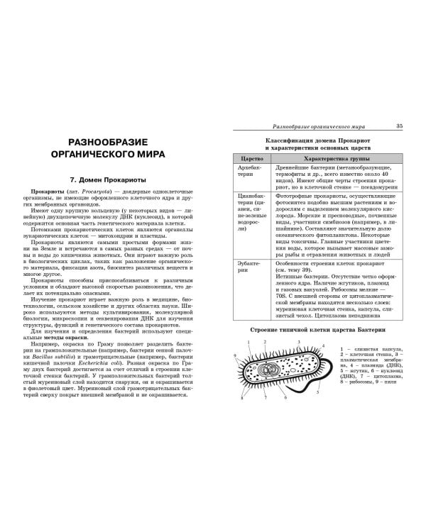 Биология: наглядно и доступно