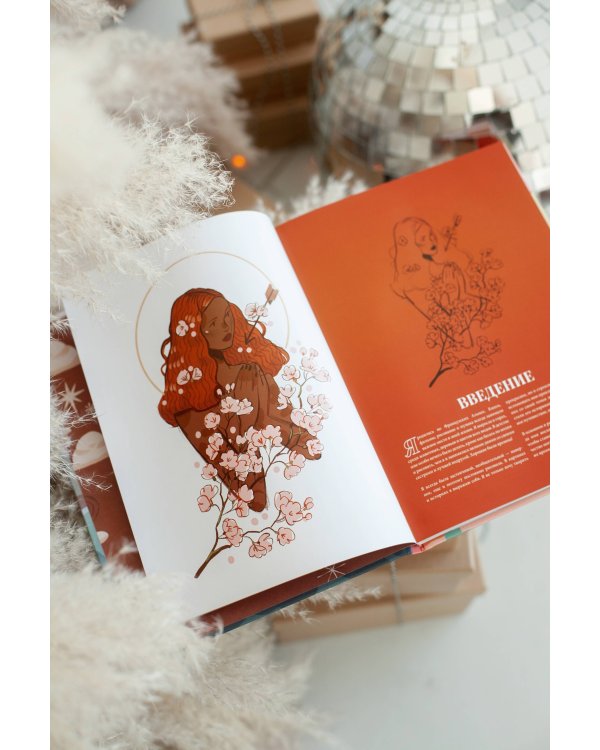 Артбук Sibylline Meynet. Свидание с мечтой